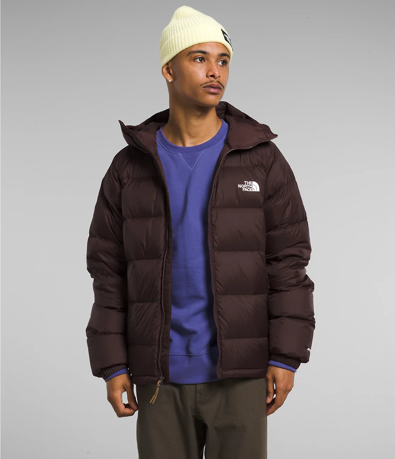 Hydrenalite Down Hoodie (Men's) - NF0A5GIE