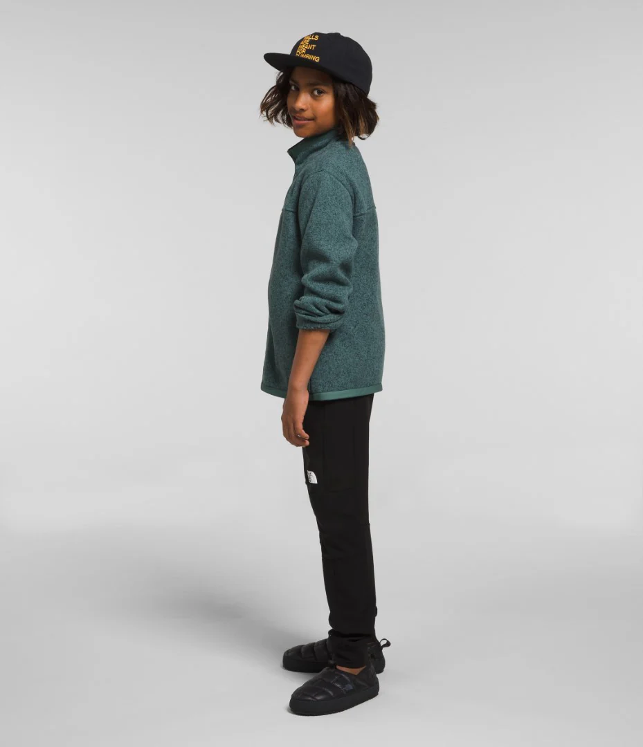 Sweater Fleece Full-Zip Jacket (Boys') - NF0A84LK - Past Season