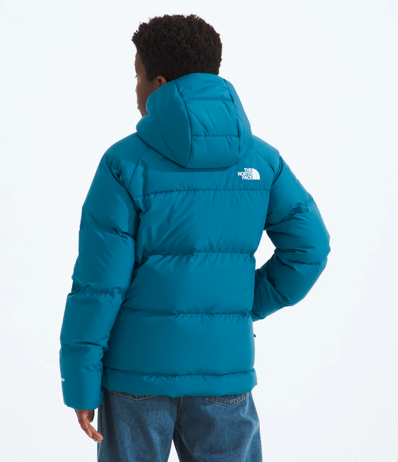 North Down Hooded Jacket (Boys') - NF0A88TX