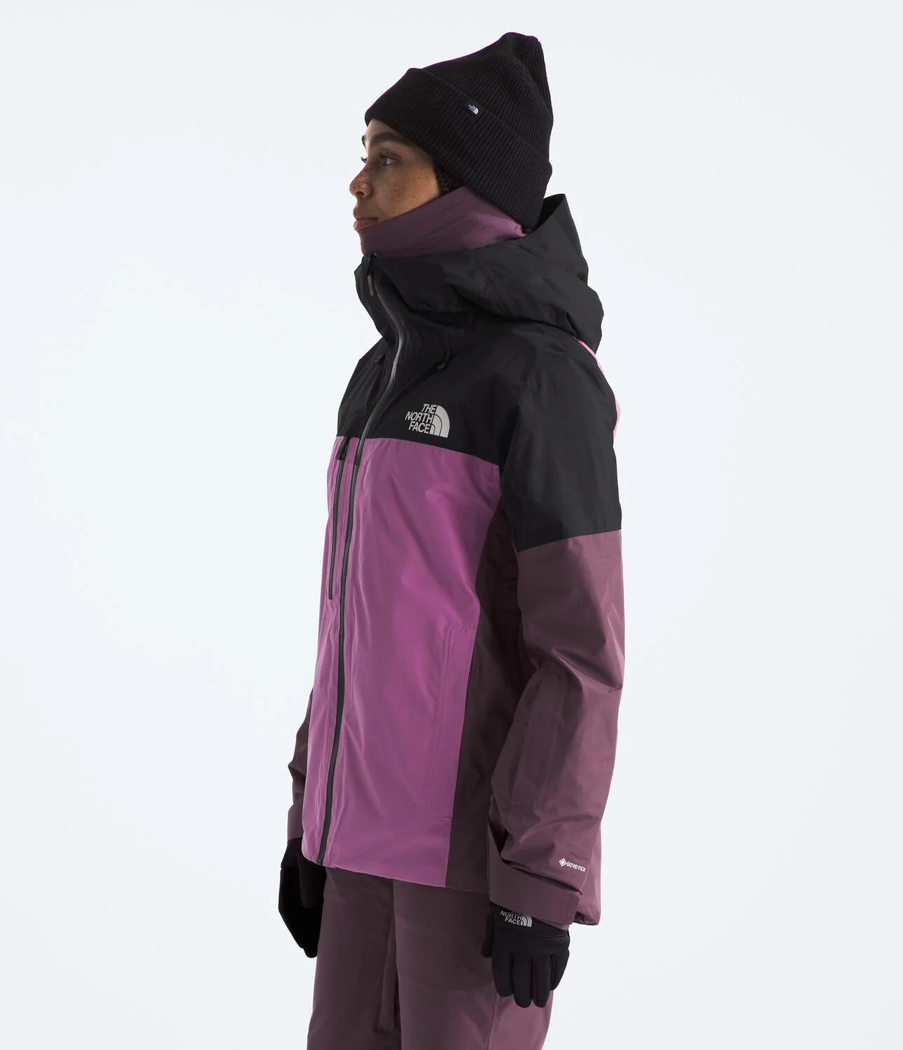 Dawnstrike GORE-TEX® Insulated Jacket (Women's) - NF0A82W9 - Past Season