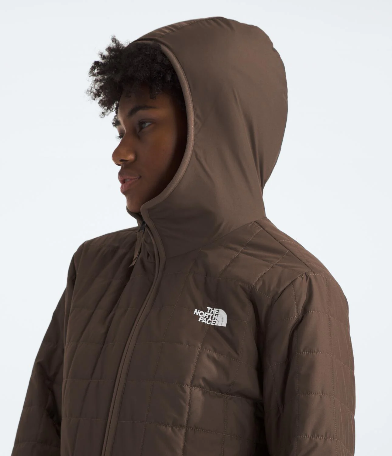 Junction Insulated Parka (Women's) - NF0A88TH