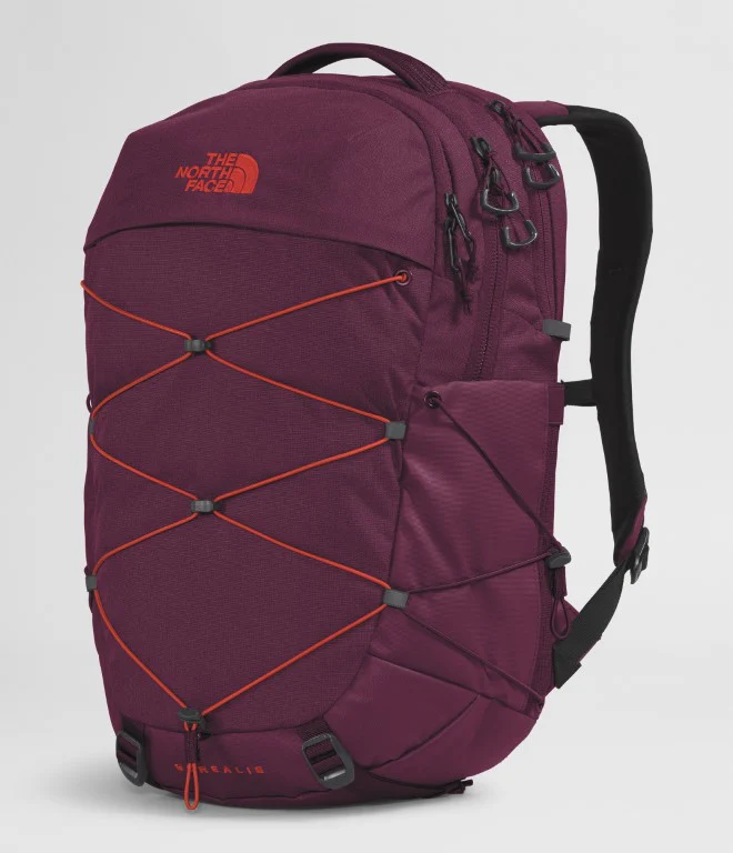 Borealis Backpack (Women's) - NF0A52SI - Past Season