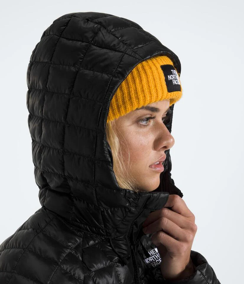 Thermoball Hooded Parka (Women's) - NF0A8D3T