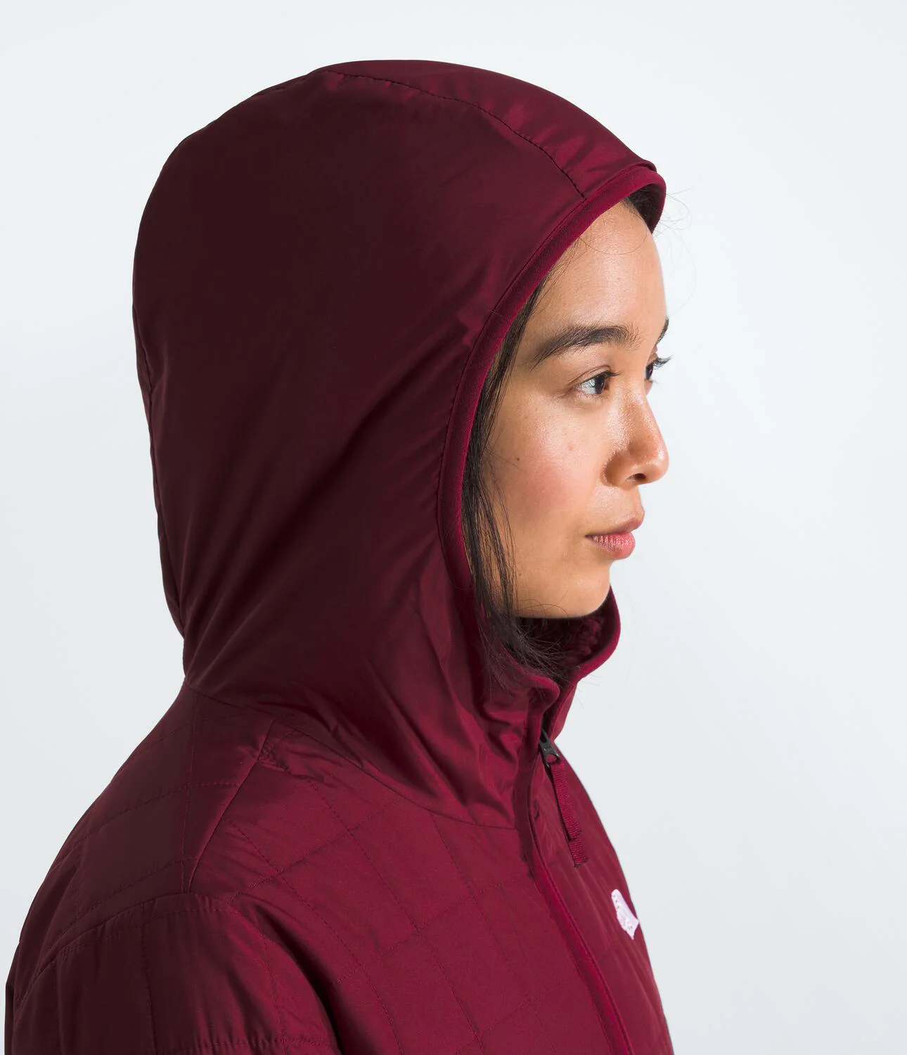 Junction Insulated Parka (Women's) - NF0A88TH