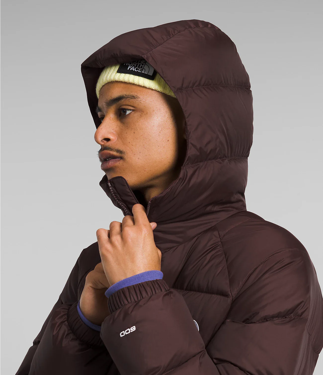 Hydrenalite Down Hoodie (Men's) - NF0A5GIE