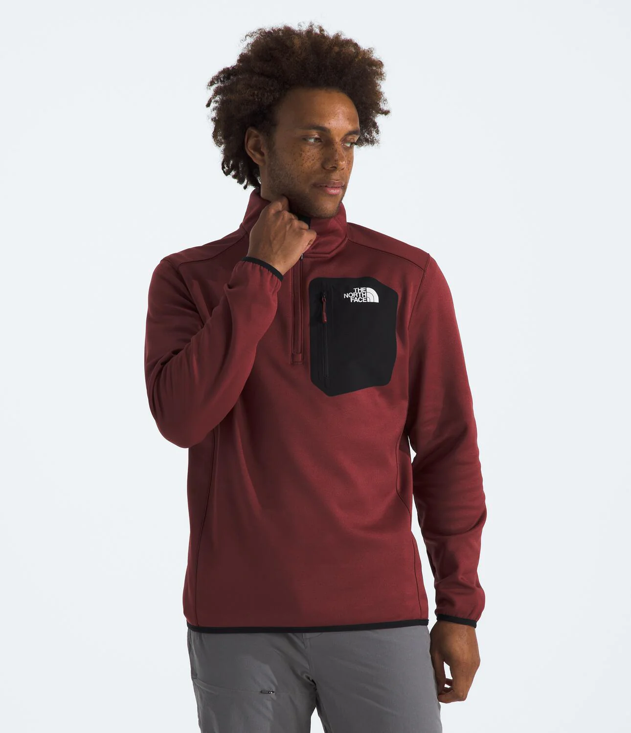 Crest 1/4-Zip Fleece Jacket (Men's) - NF0A897D