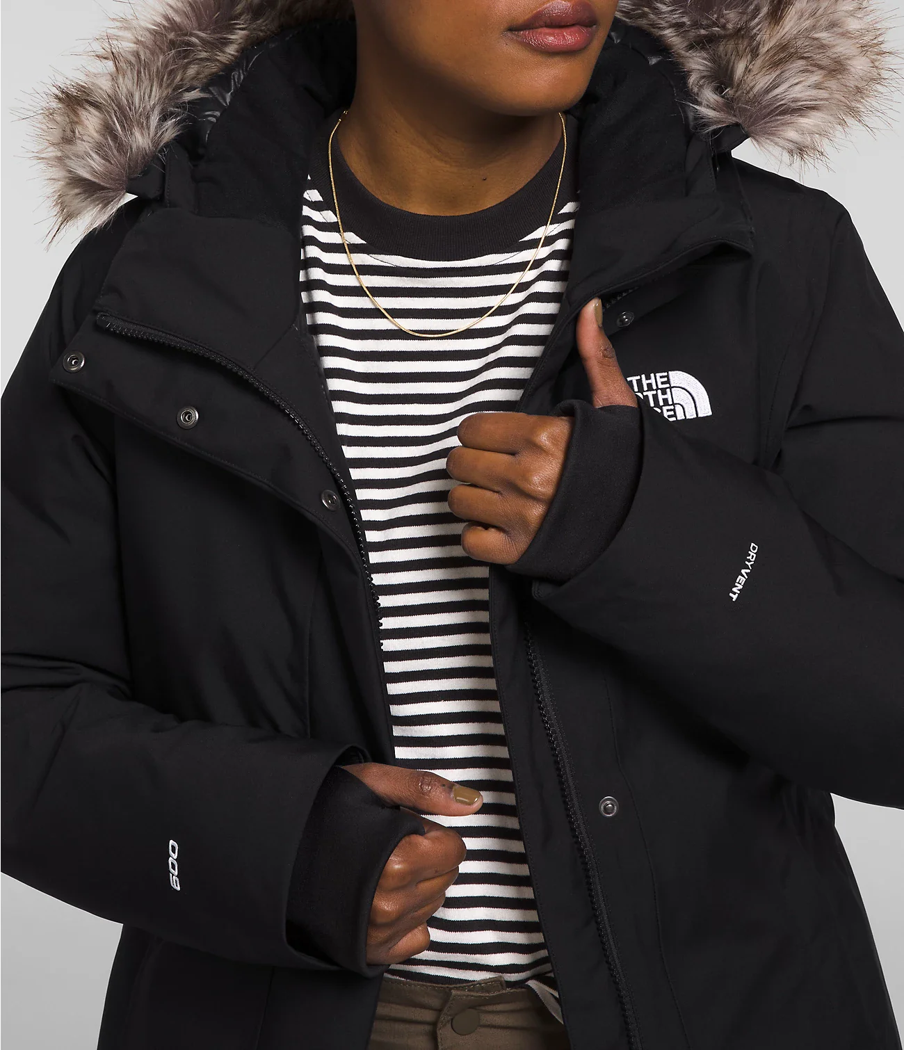 Arctic Parka (Women's) - NF0A84J2
