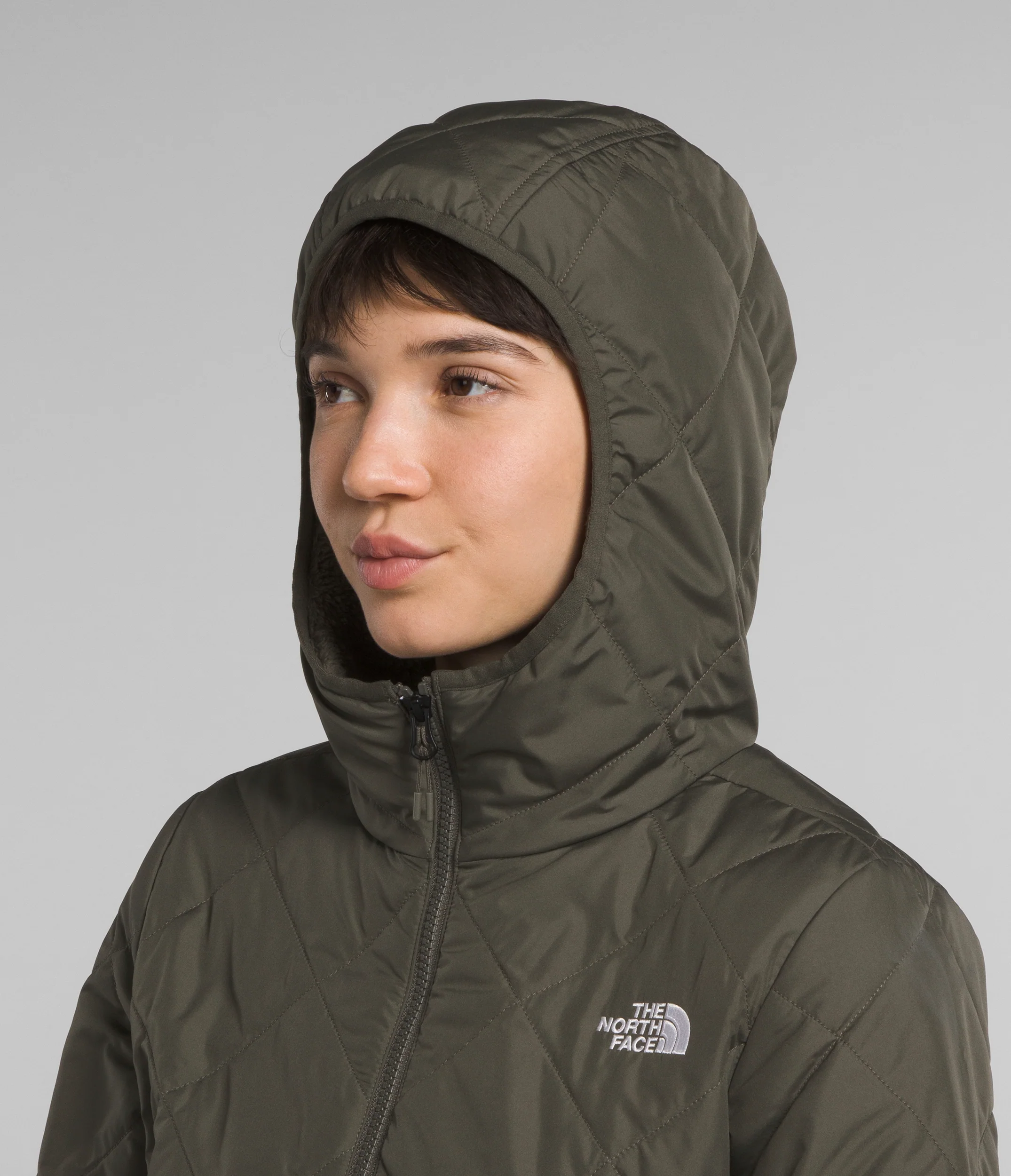 Shady Glade Insulated Parka (Women's) - NF0A84JA - Past Season