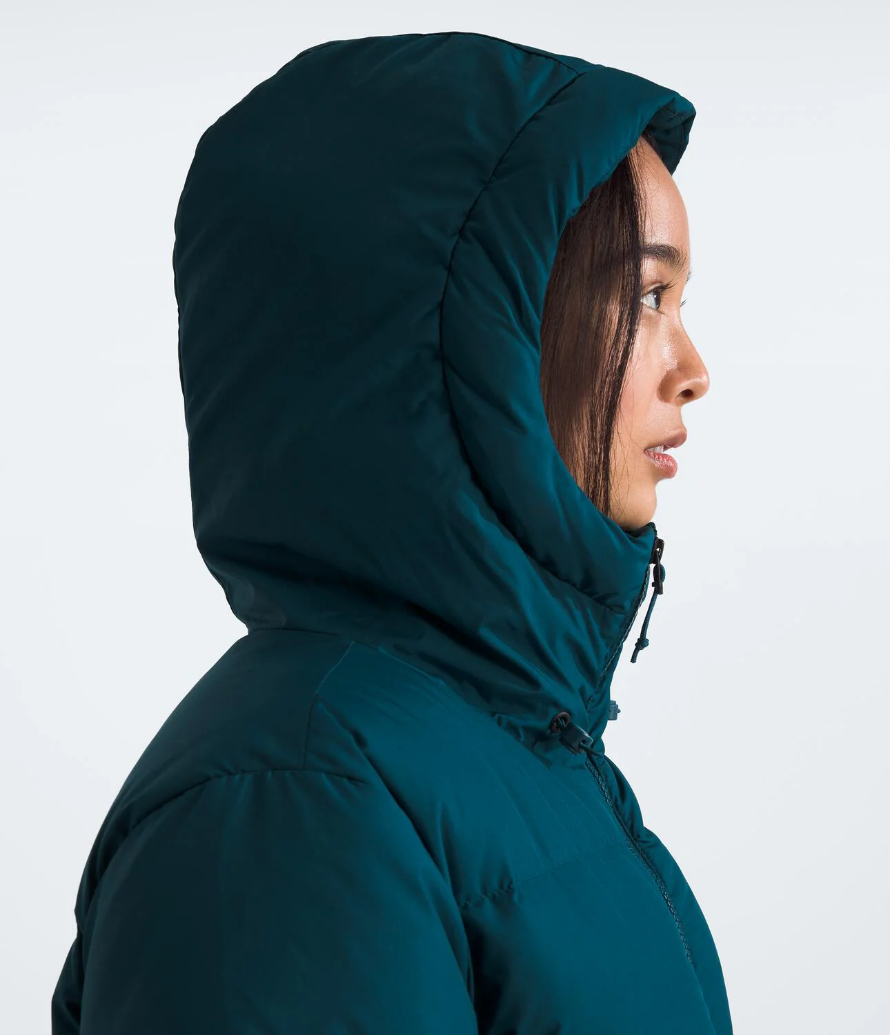 Arctic Parka (Women's) - NF0A84J2
