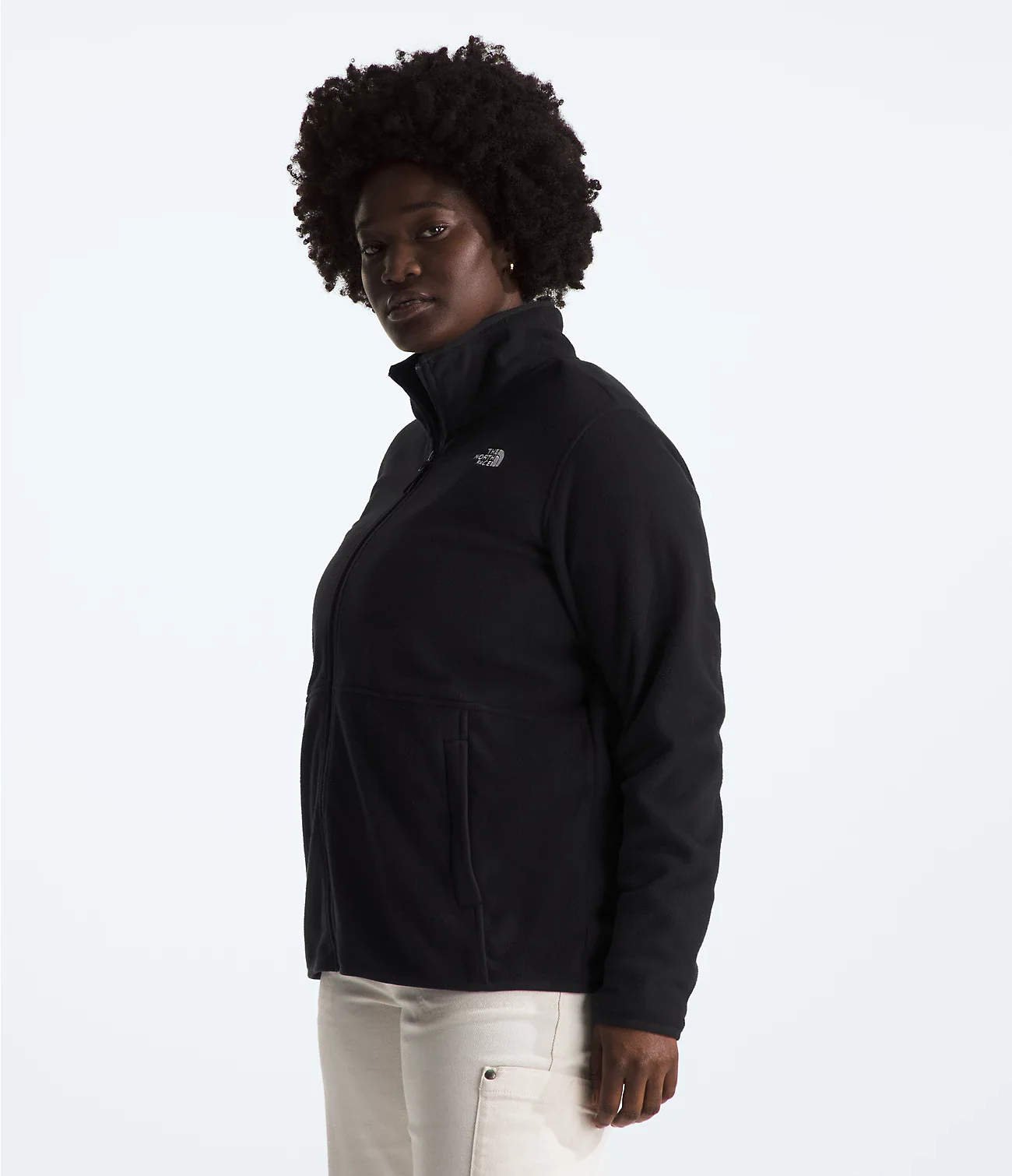 Plus Glacier Fleece Jacket (Women's) - NF0A8AYN