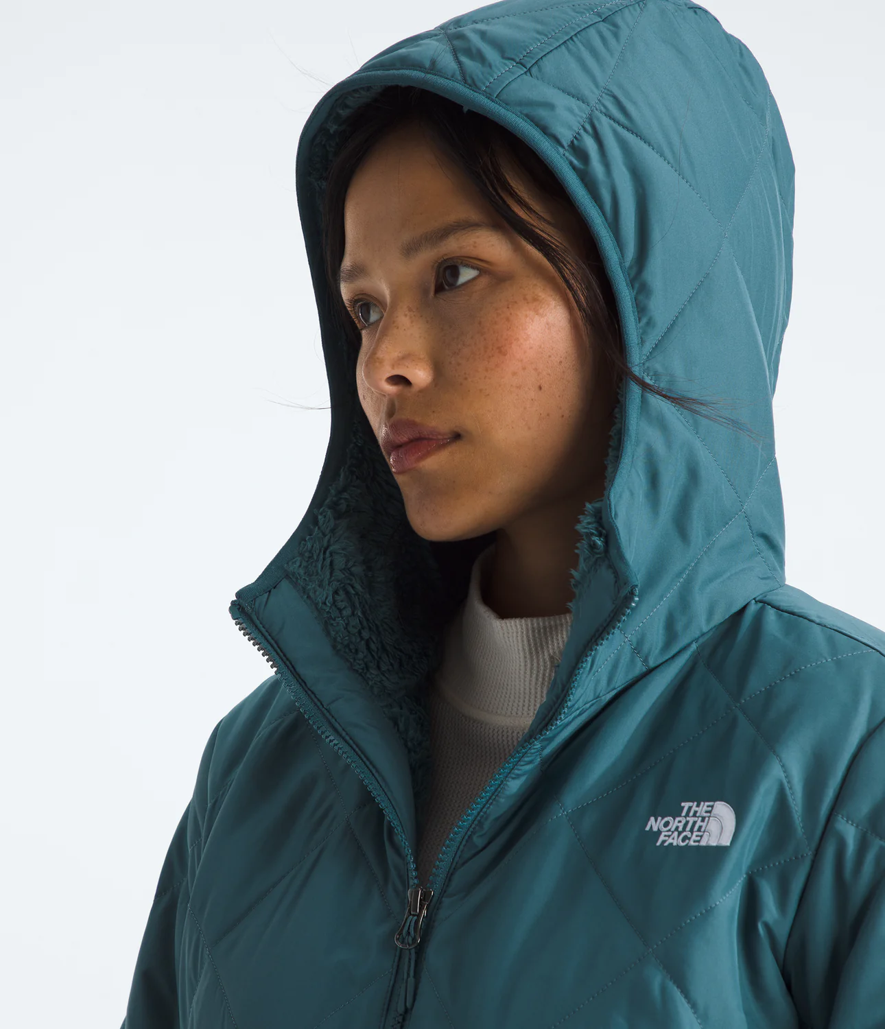 Shady Glade Insulated Parka (Women's) - NF0A84JA