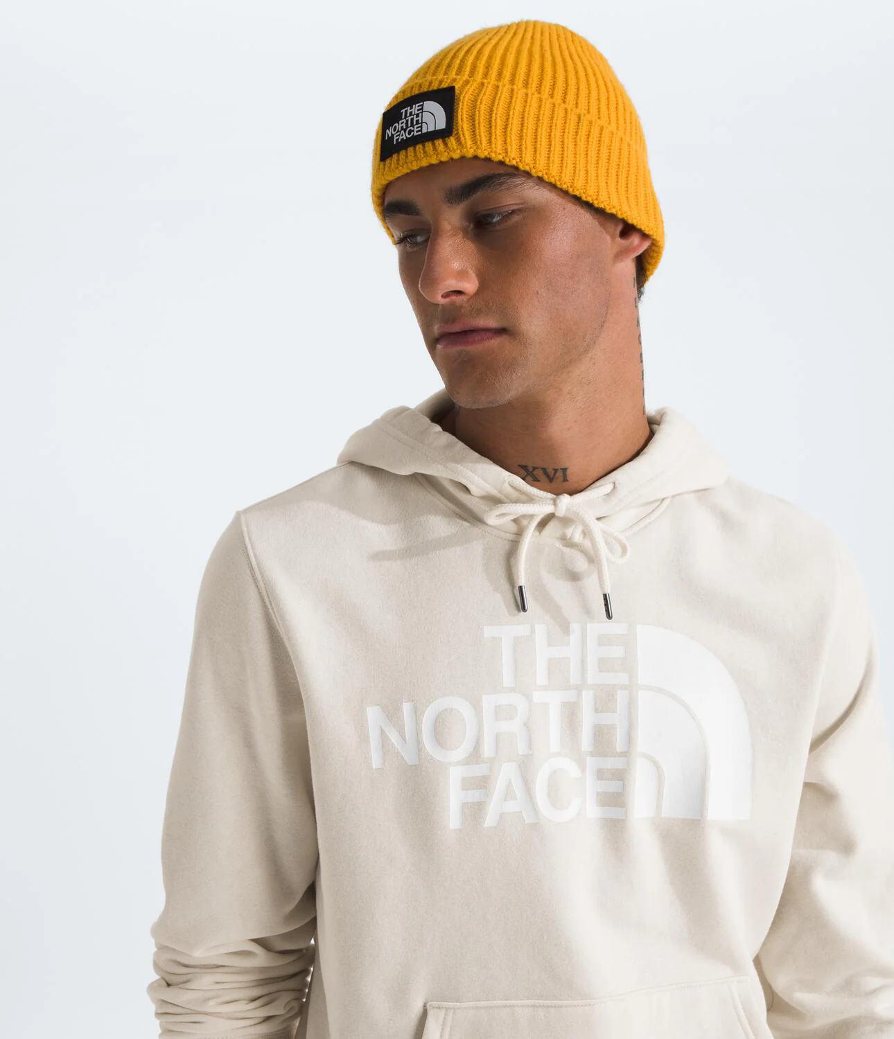 Half Dome Pullover Hoodie (Men's) - NF0A7UNL