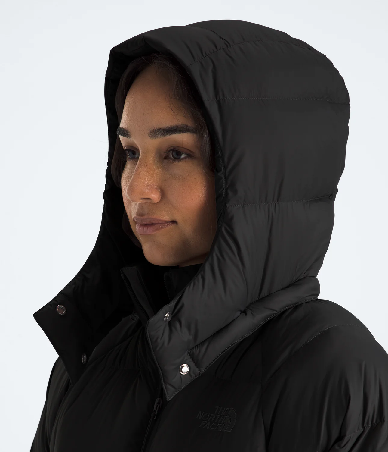 Hydrenalite City Long Down Hooded Parka (Women's) - NF0A8D3N