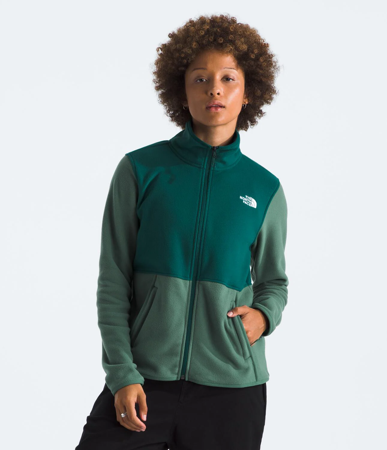 Glacier Fleece Jacket (Women's) - NF0A8AYM - Past Season