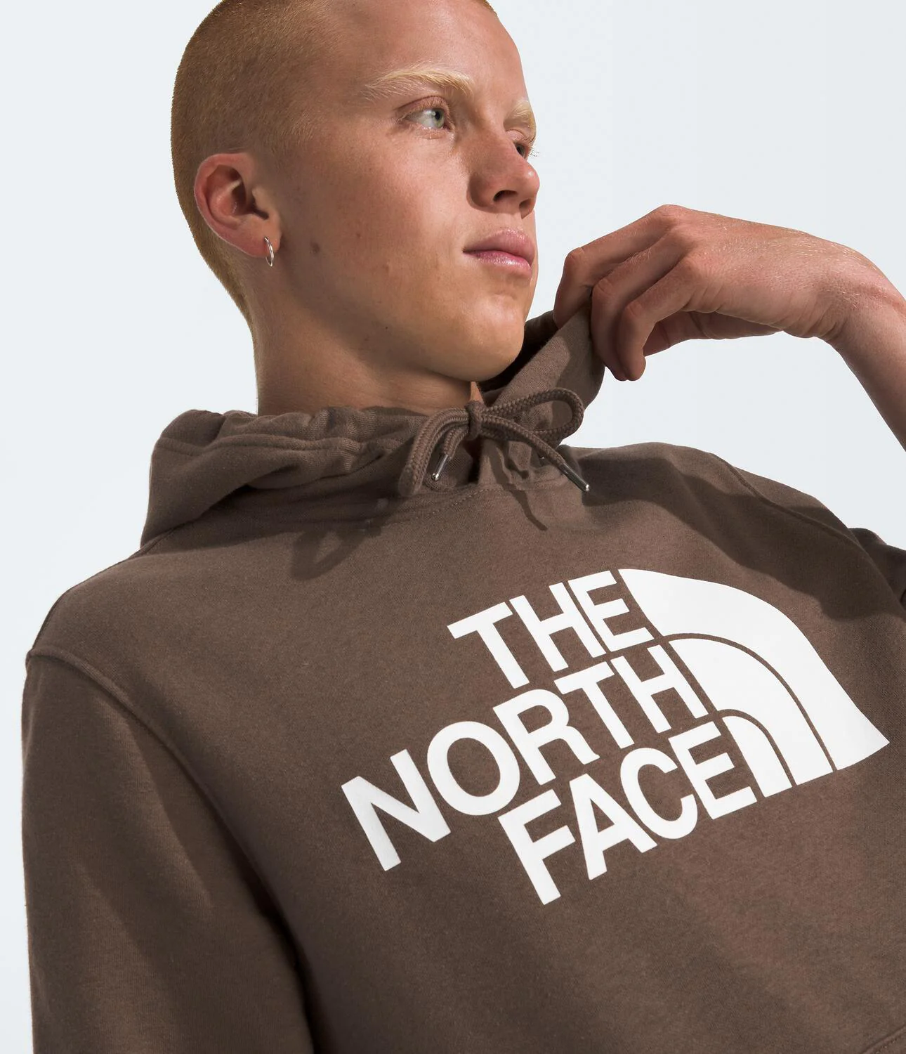 Half Dome Pullover Hoodie (Men's) - NF0A7UNL