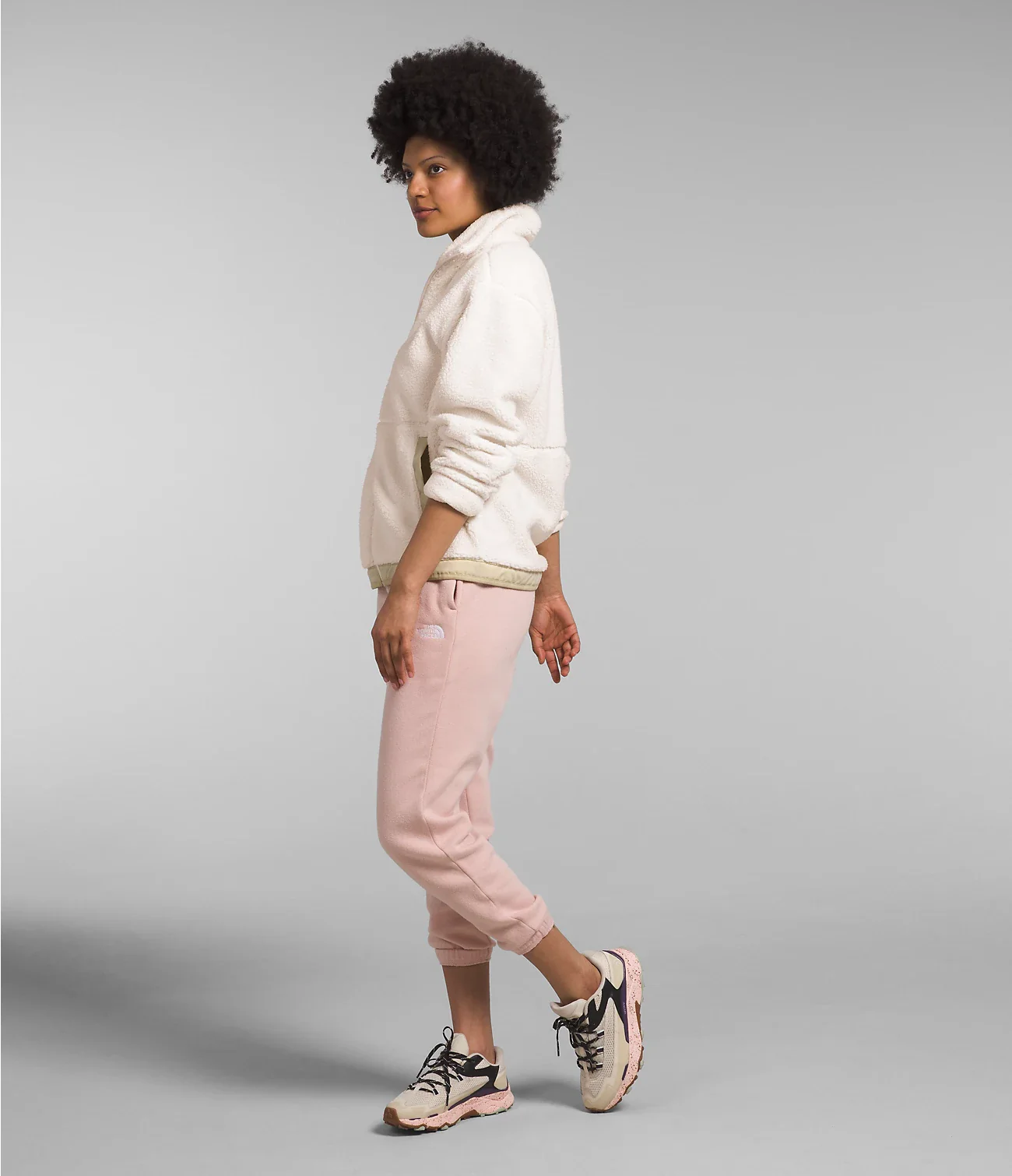 Campshire Fleece Full Zip Jacket (Women's) - NF0A84IQ - Past Season