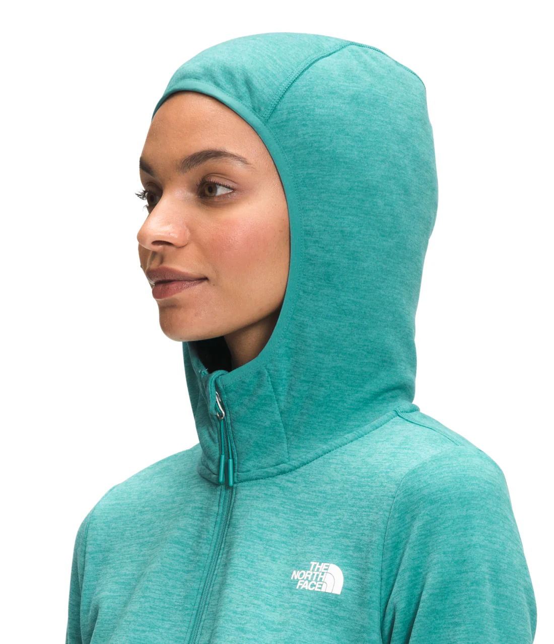 Canyonlands Hoodie (Women's) - NF0A5GBC - Past Season
