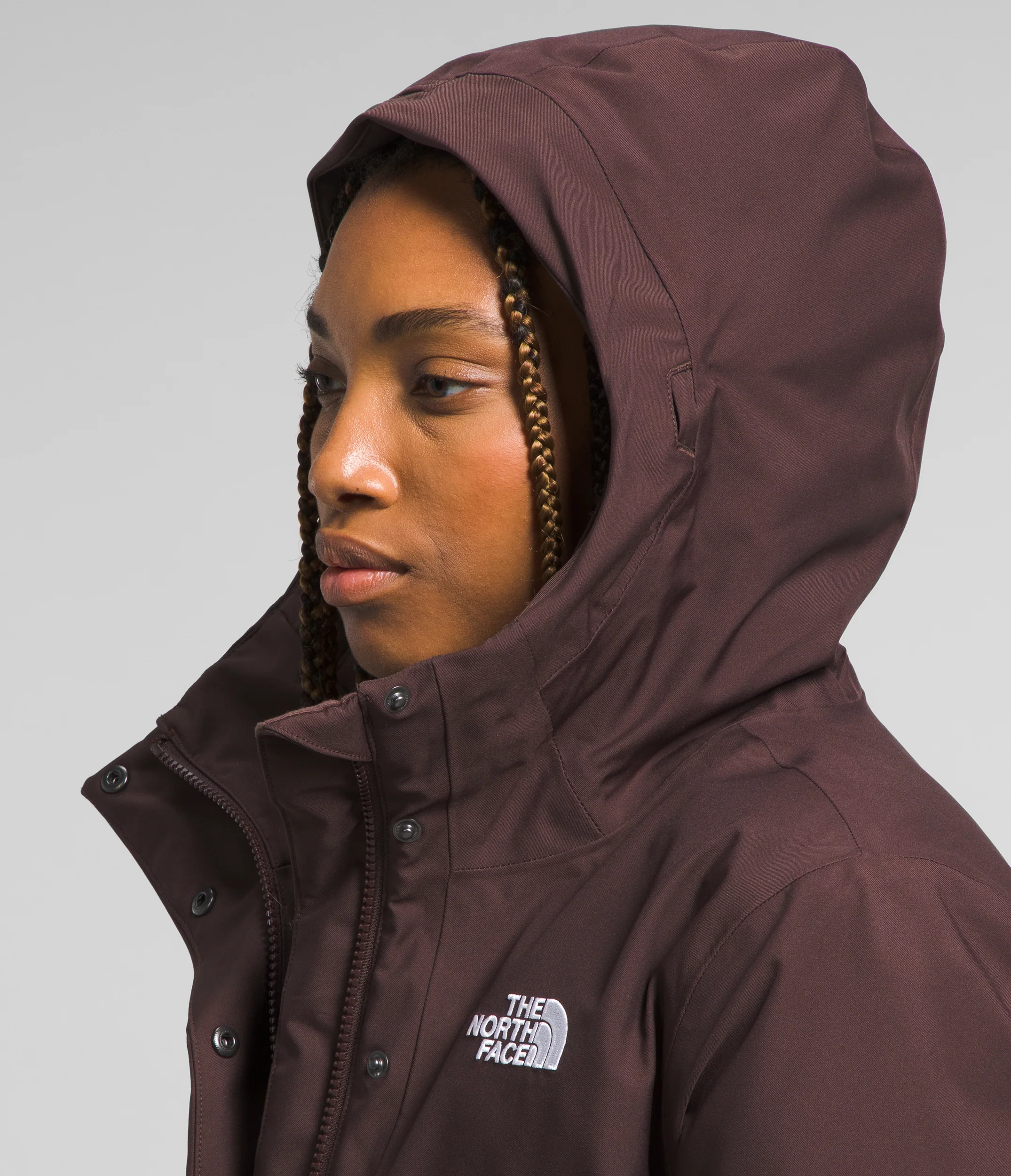 Arctic Parka (Women's) - NF0A84J2