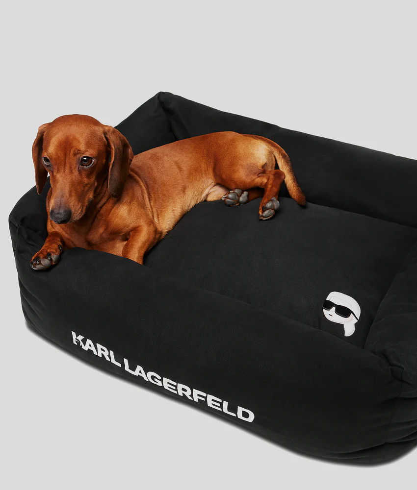K/PET BED