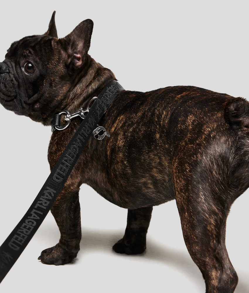 K/PET LEASH AND POUCH