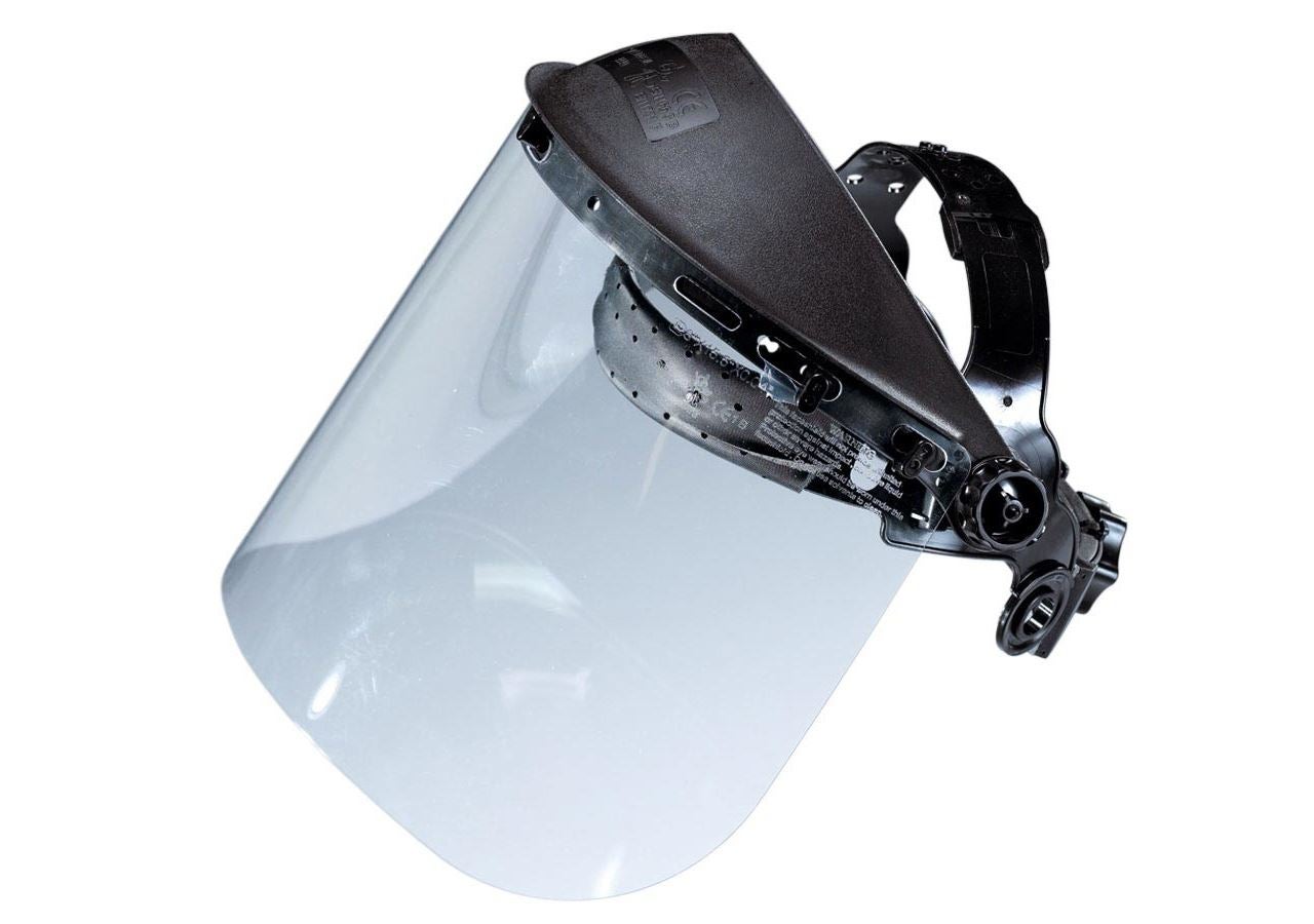 Face mask shield