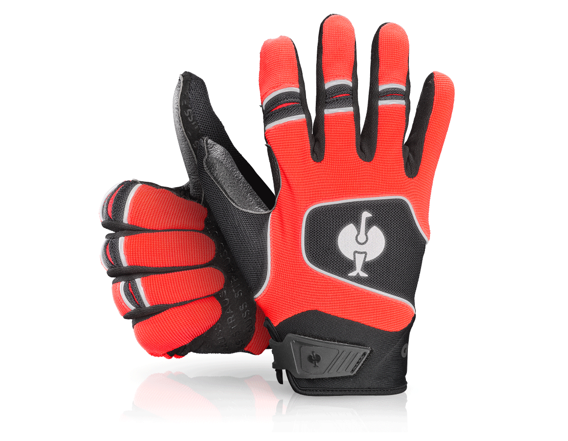 Gloves e.s.ambition