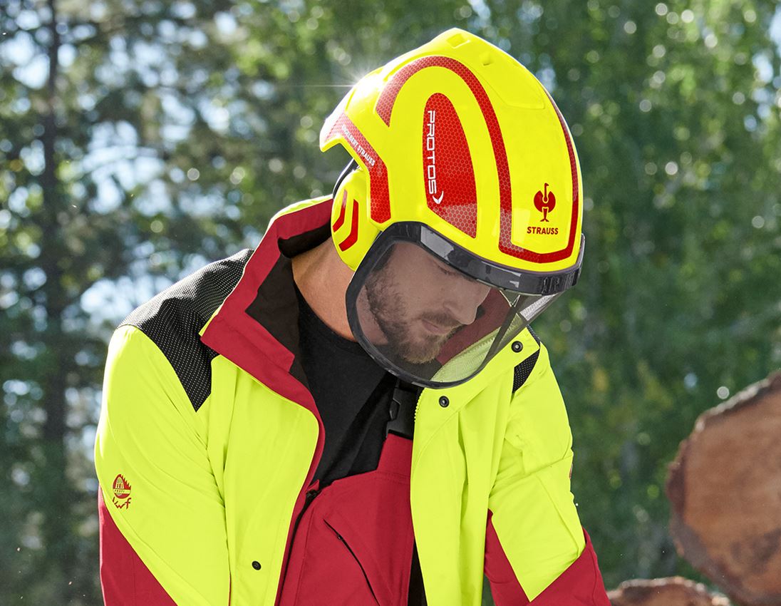 e.s. Forestry helmet Protos®