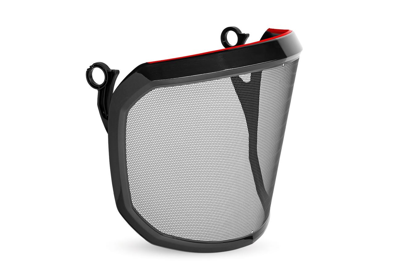 e.s. Metal-etching visor F39 Protos®