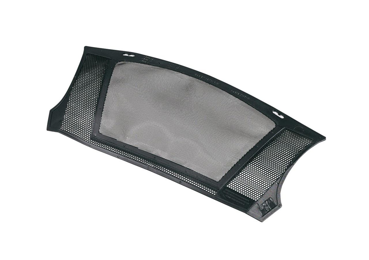Replacement visor