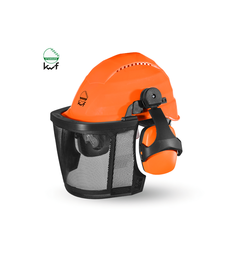 KWF Forester's helmet combination Professional