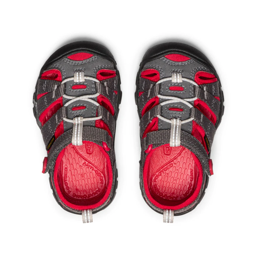 Toddlers' Seacamp II CNX  |  Magnet/Red Carpet