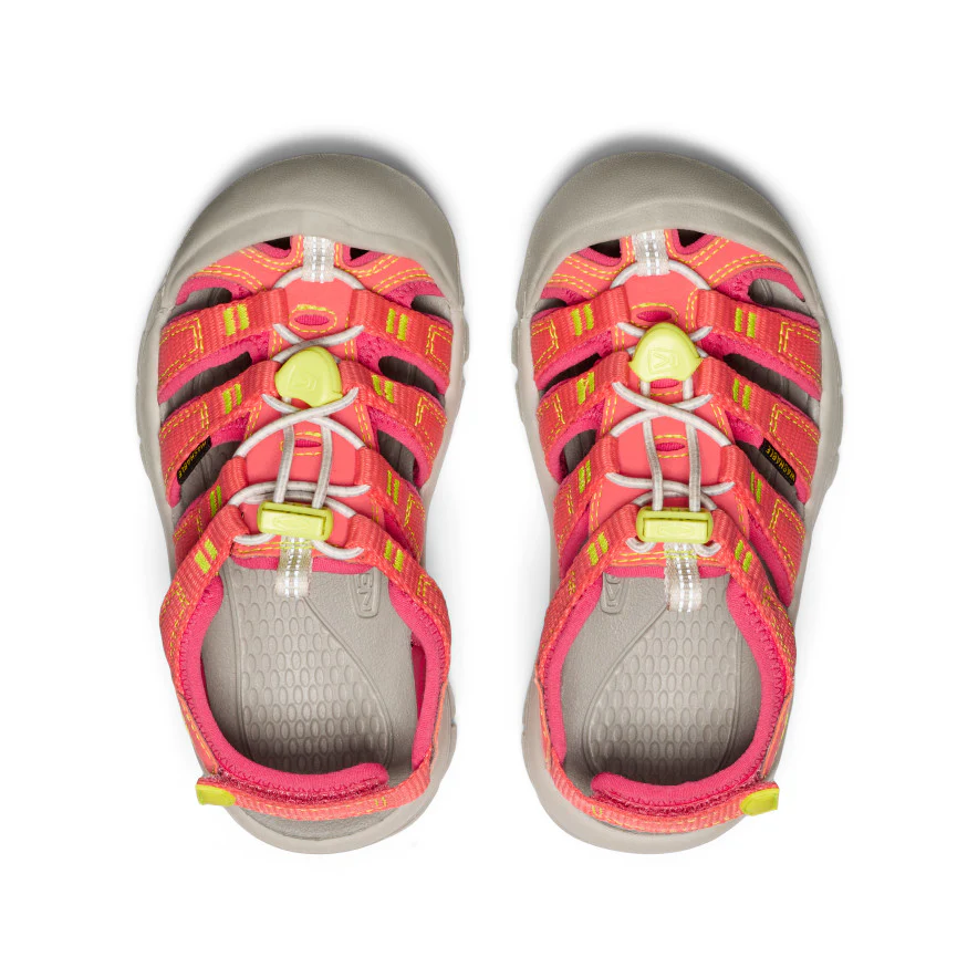 Little Kids' Newport Boundless Sandal  |  Dubarry/Evening Primrose