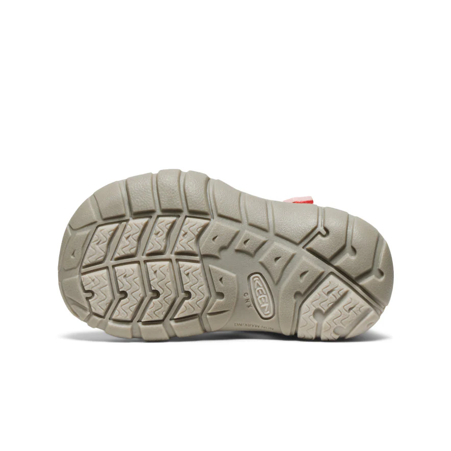 Toddlers' Seacamp II CNX  |  Dubarry/Pink-A-Boo