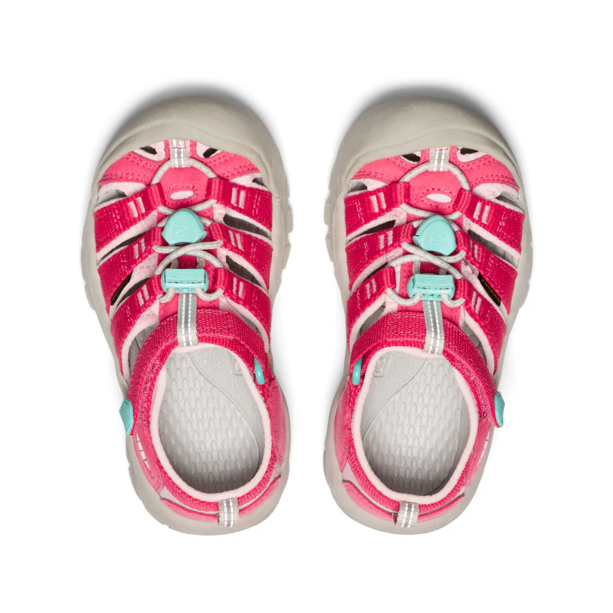Little Kids' Newport H2  |  Raspberry/Pink-A-Boo