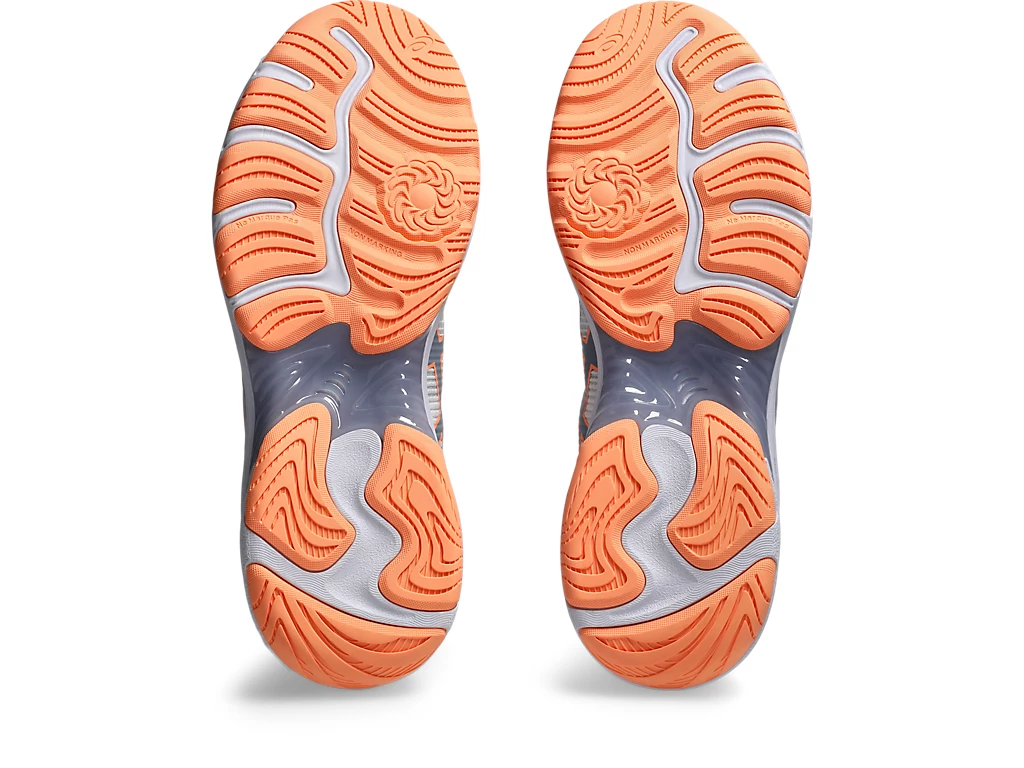 NETBURNER PROFESSIONAL FF 4