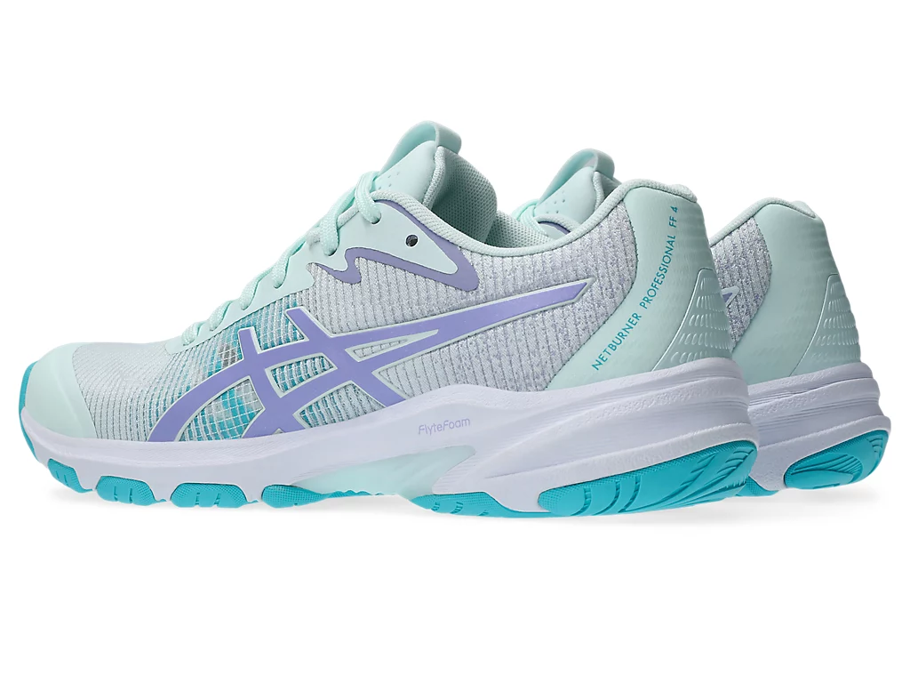 NETBURNER PROFESSIONAL FF 4