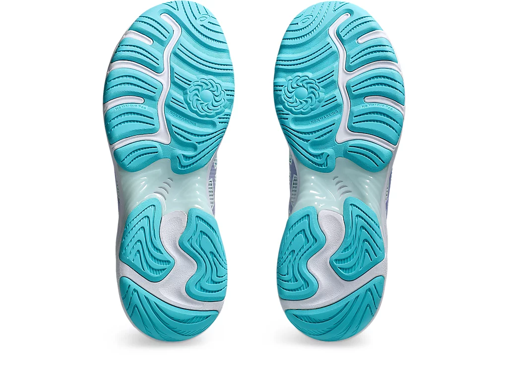 NETBURNER PROFESSIONAL FF 4