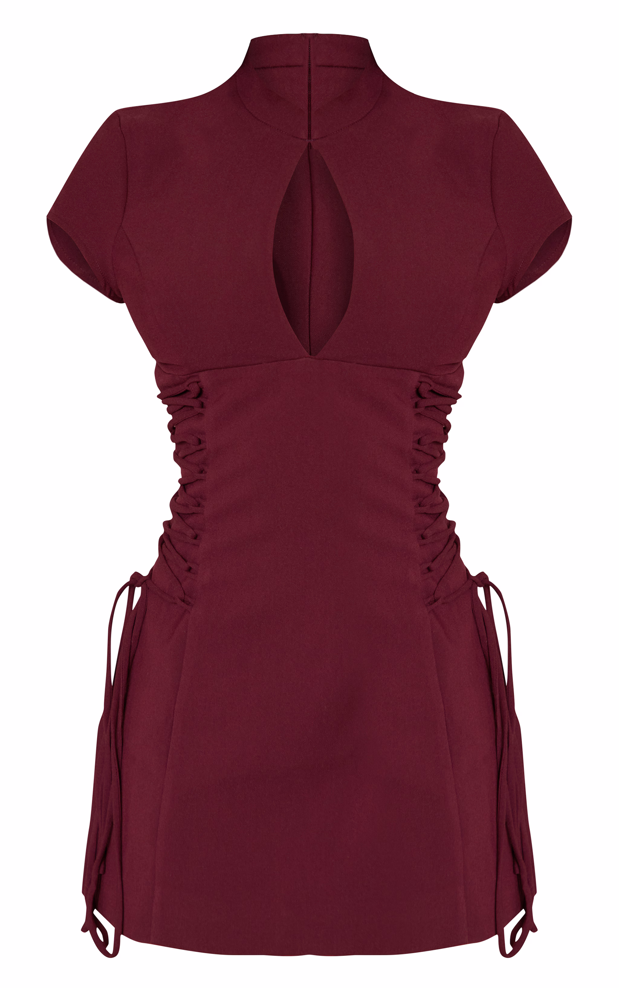 PLT Label Plum Tailored Band Collar Lace Up A-line Dress