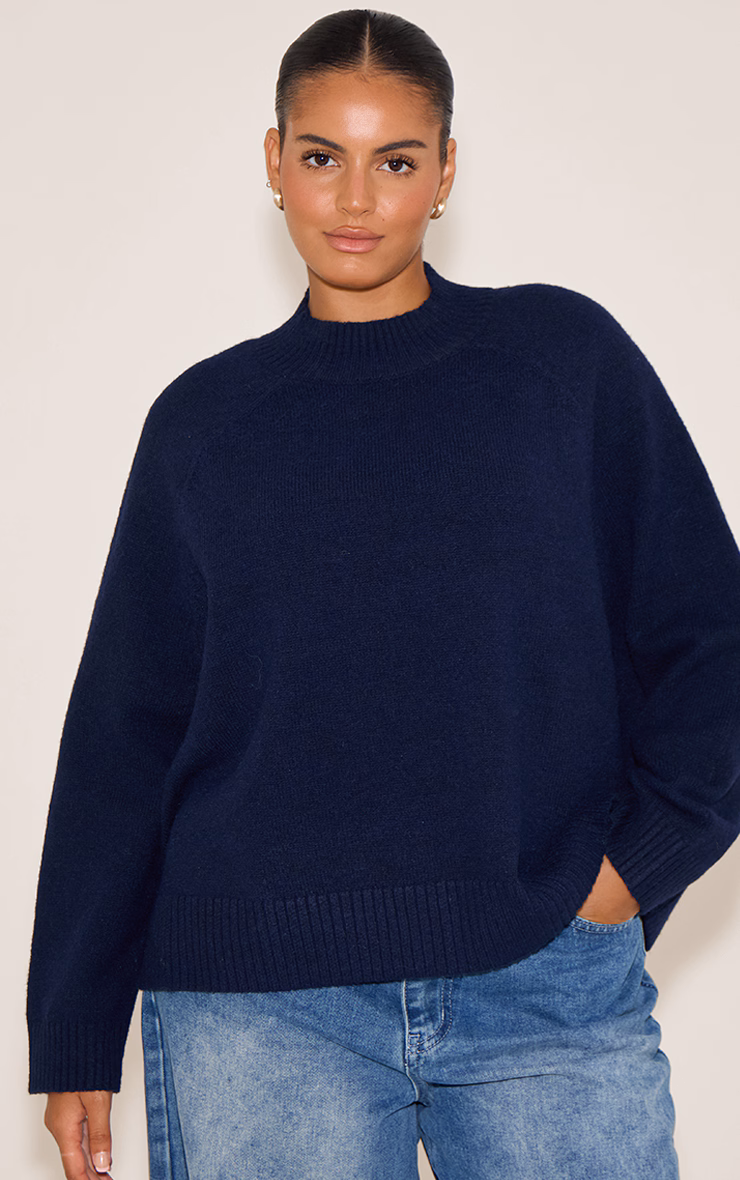 Plus Navy Turtleneck Knit Sweater