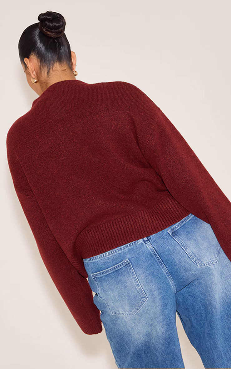Plus Deep Red Knit High Neck Crop Sweater