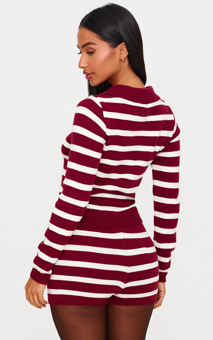 Petite Burgundy Knitted Stripe Collar Detail Long Sleeve Top
