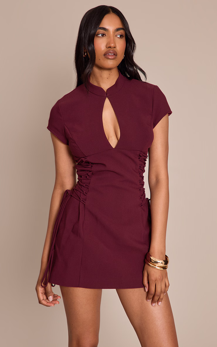 PLT Label Plum Tailored Band Collar Lace Up A-line Dress