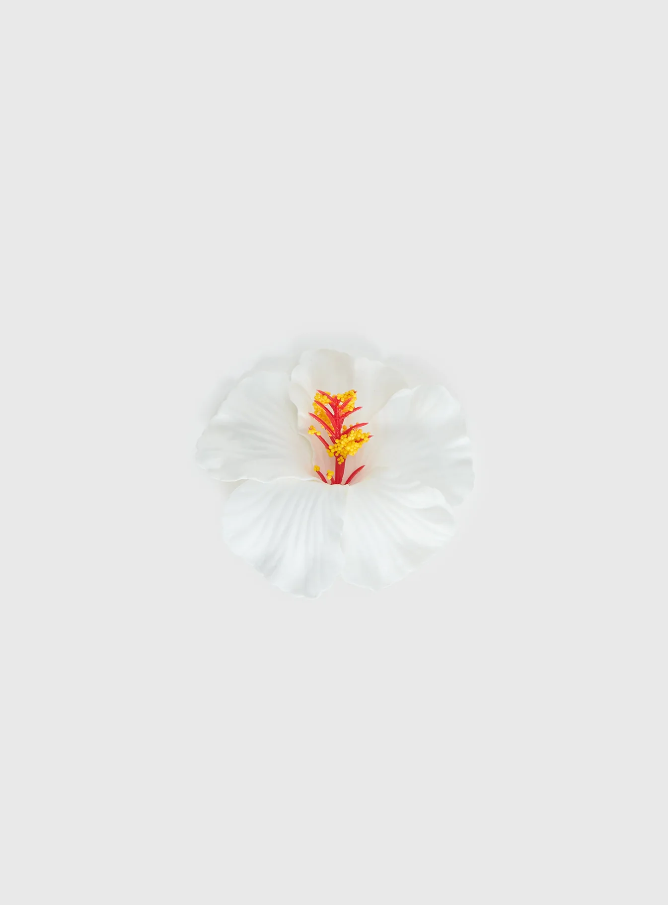 This Fate Flower Hair Clip Cream