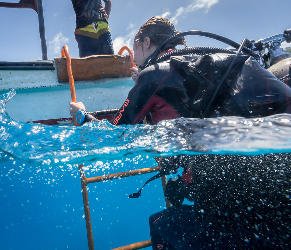 Suunto Zoop Novo Lemon Yellow