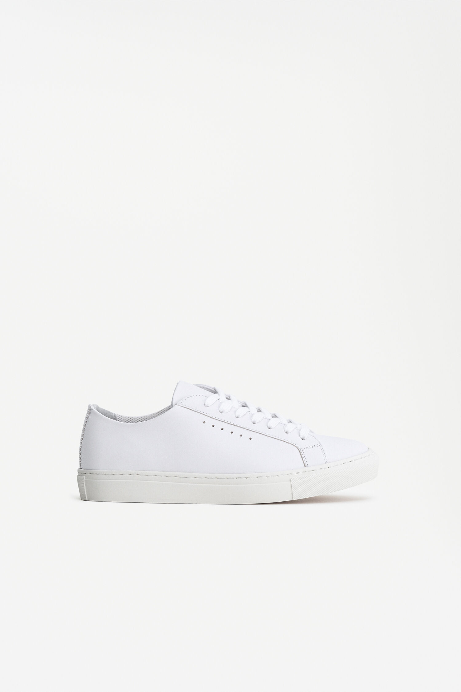 Kate Low Sneakers