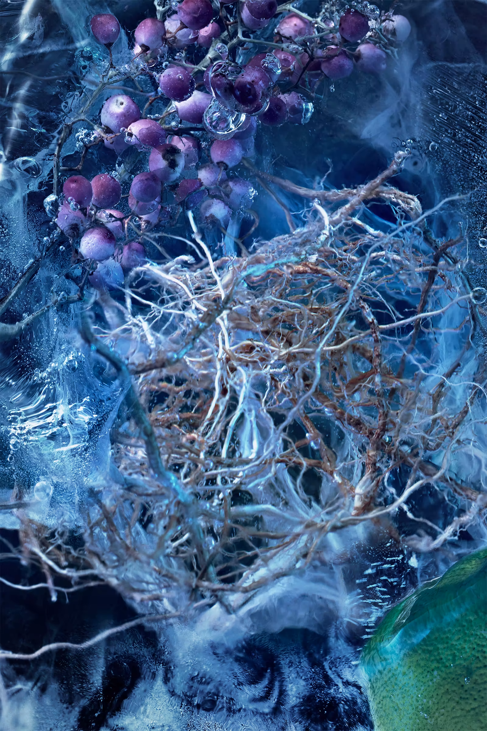 Le Bois Glacé 6.7 oz