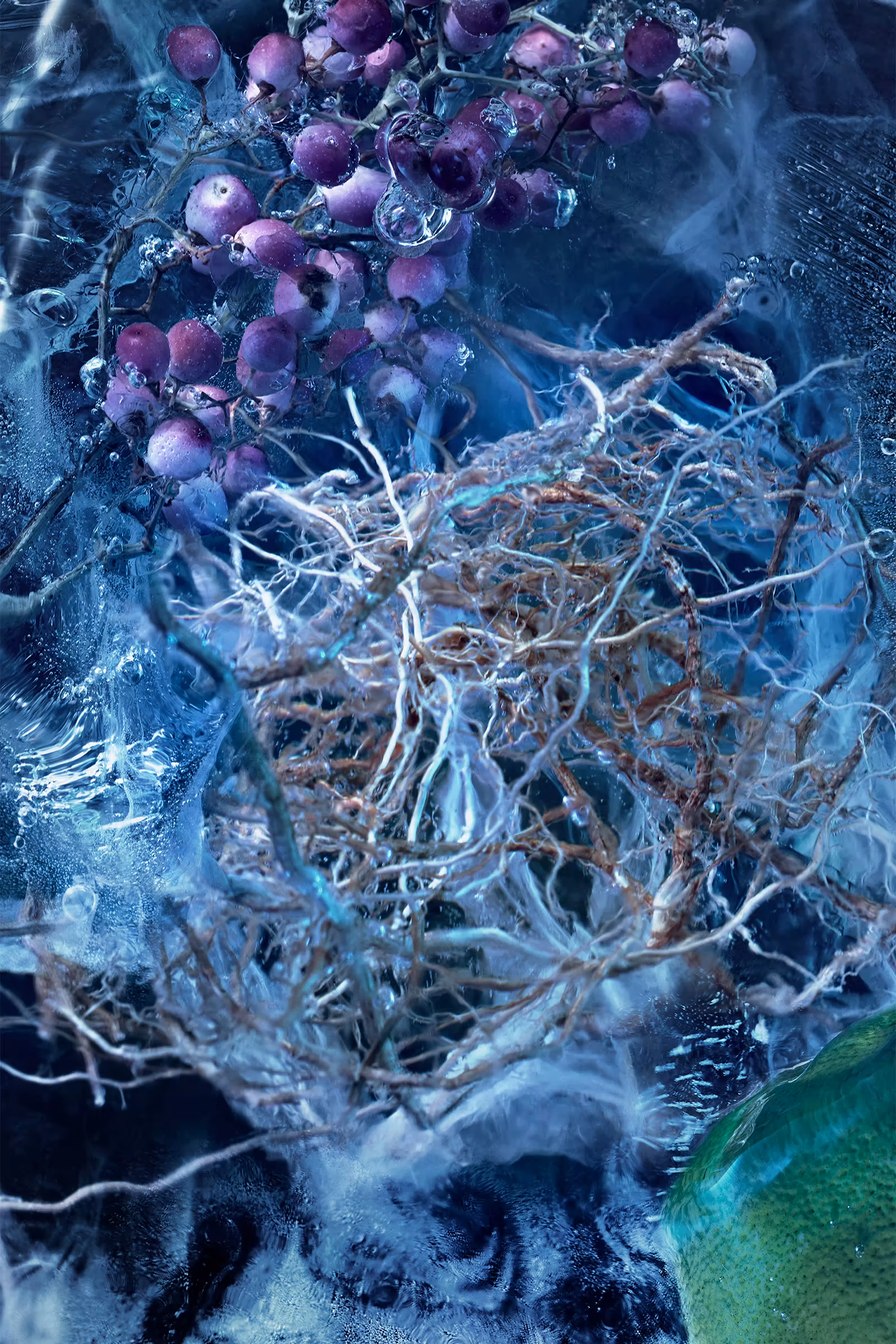 Le Bois Glacé 3.3 Fl.Oz.