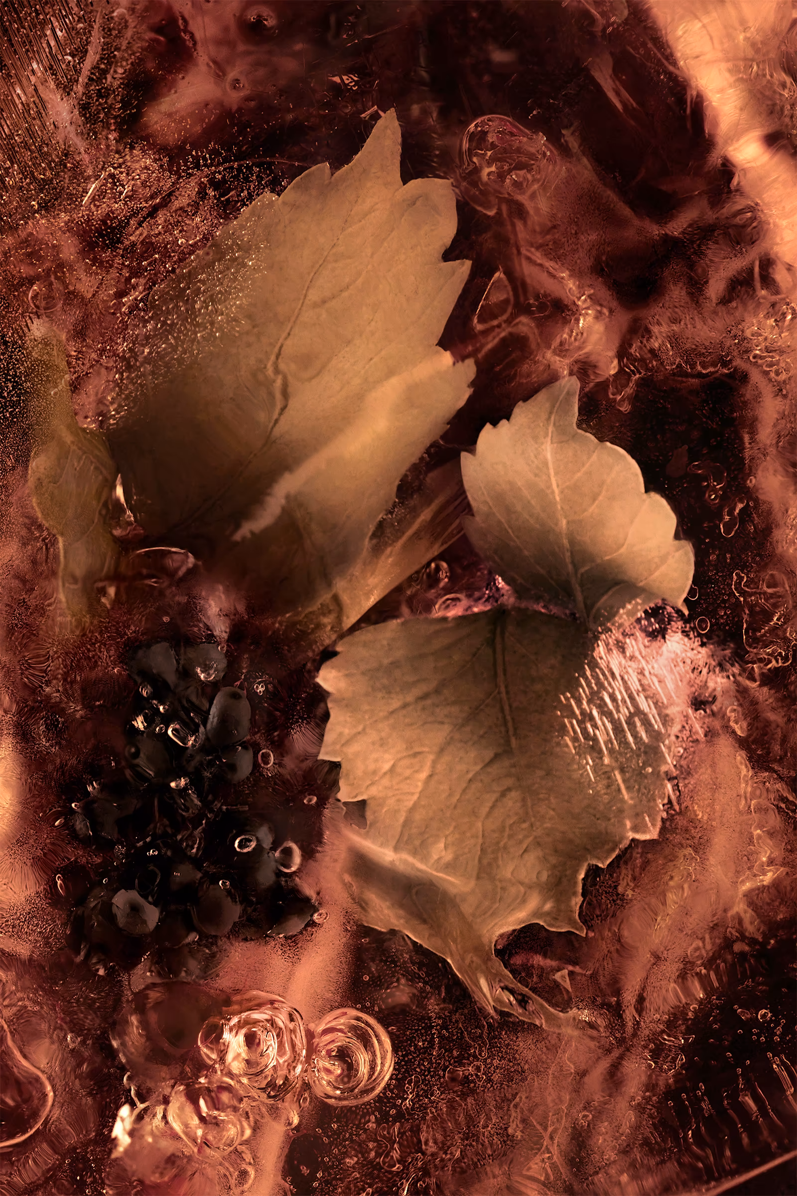 Les Roches Noires 3.3 Fl.Oz.