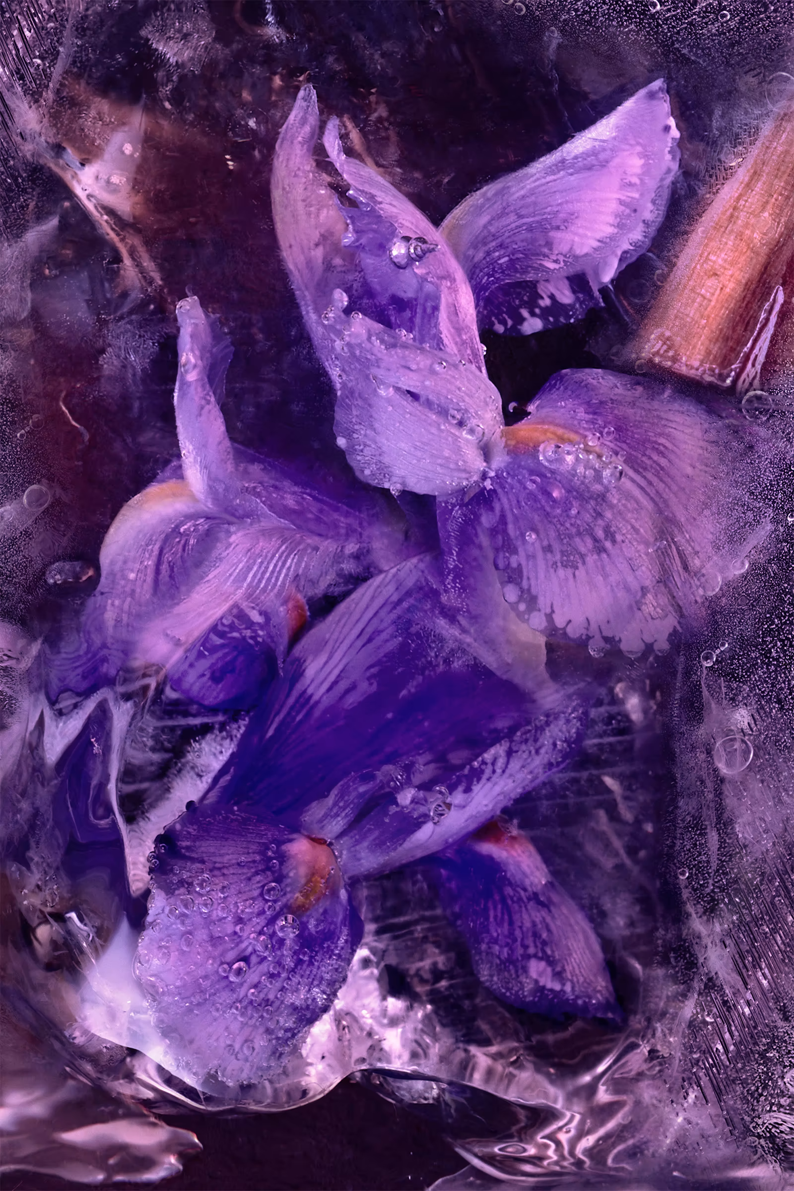 Le Solstice 6.7 Fl.Oz.