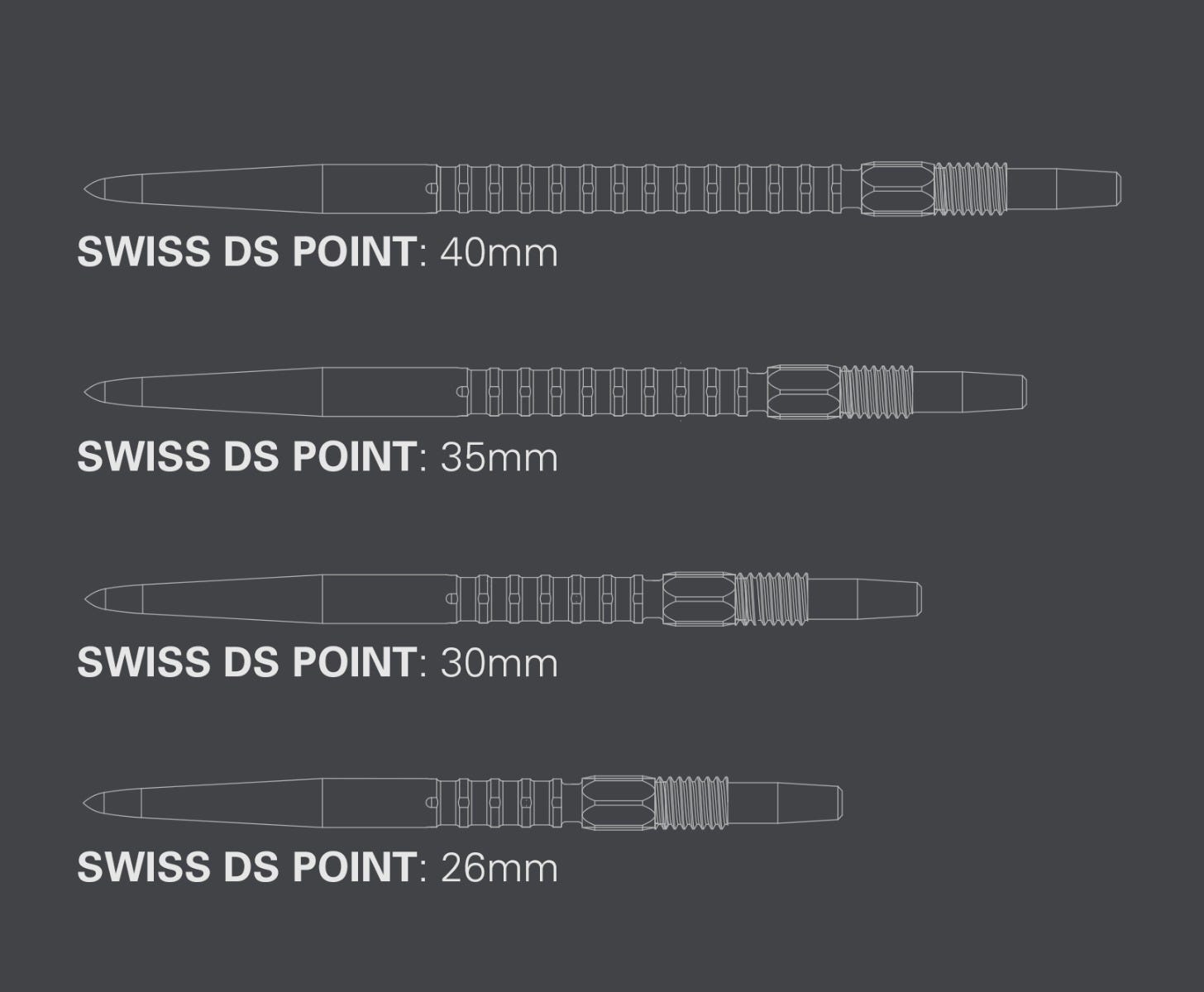 Swiss DS Point
